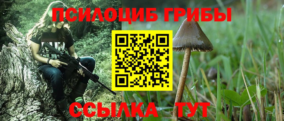 Галлюциногенные грибы Cubensis Чебоксары