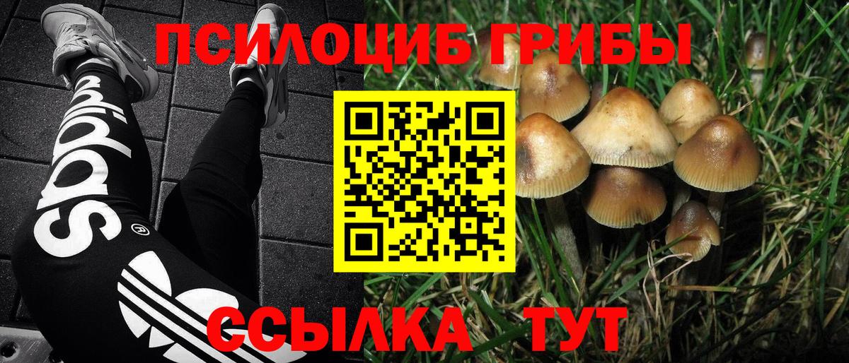 Галлюциногенные грибы MAGIC MUSHROOMS  Вход с VPN  Чебоксары  Псилоцибиновые грибы мицелий 